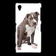 Coque Sony Xpéria Z1 American staffordshire bull terrier