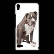 Coque Huawei Ascend P6 American staffordshire bull terrier