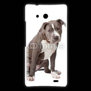 Coque Huawei Ascend Mate American staffordshire bull terrier