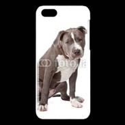 Coque iPhone 5C American staffordshire bull terrier