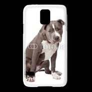 Coque Samsung Galaxy S5 American staffordshire bull terrier