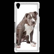 Coque Sony Xperia Z3 American staffordshire bull terrier