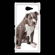 Coque Sony Xperia M2 American staffordshire bull terrier