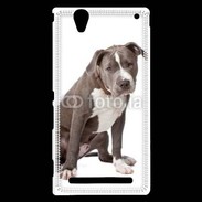 Coque Sony Xperia T2 Ultra American staffordshire bull terrier