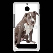 Coque Sony Xperia E1 American staffordshire bull terrier