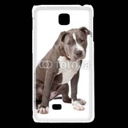 Coque LG F5 American staffordshire bull terrier