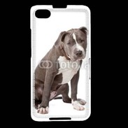 Coque Blackberry Z30 American staffordshire bull terrier