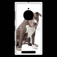 Coque Nokia Lumia 830 American staffordshire bull terrier