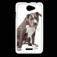 Coque HTC Desire 516 American staffordshire bull terrier