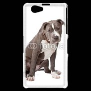 Coque Sony Xperia Z1 Compact American staffordshire bull terrier