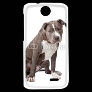 Coque HTC Desire 310 American staffordshire bull terrier