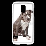 Coque Samsung Galaxy S5 Mini American staffordshire bull terrier