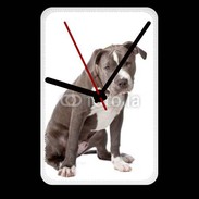 Grande pendule murale American staffordshire bull terrier