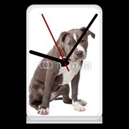 Pendule de bureau American staffordshire bull terrier