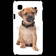 Coque Samsung Galaxy S Cavalier king charles 700