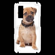 Coque Samsung Player One Cavalier king charles 700