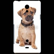 Coque Sony Xperia T Cavalier king charles 700