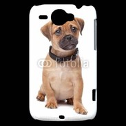 Coque HTC Wildfire G8 Cavalier king charles 700