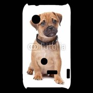 Coque Sony Xperia Typo Cavalier king charles 700