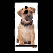 Coque Sony Xperia P Cavalier king charles 700