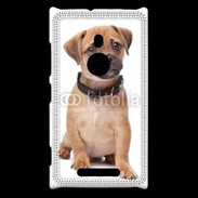 Coque Nokia Lumia 925 Cavalier king charles 700