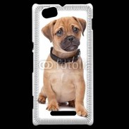 Coque Sony Xperia M Cavalier king charles 700