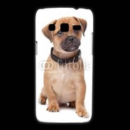 Coque Samsung Galaxy Express2 Cavalier king charles 700