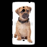 Coque Nokia Lumia 1320 Cavalier king charles 700