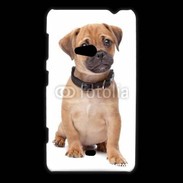 Coque Nokia Lumia 625 Cavalier king charles 700