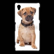 Coque Sony Xpéria Z1 Cavalier king charles 700