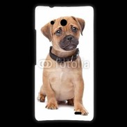 Coque Huawei Ascend Mate Cavalier king charles 700