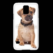 Coque Samsung Galaxy S5 Cavalier king charles 700