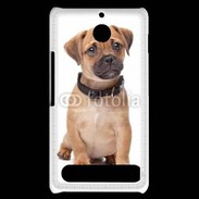 Coque Sony Xperia E1 Cavalier king charles 700