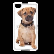 Coque Blackberry Z30 Cavalier king charles 700