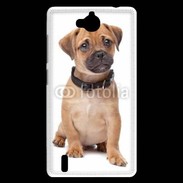Coque Huawei Ascend G740 Cavalier king charles 700