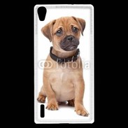 Coque Huawei Ascend P7 Cavalier king charles 700