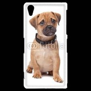 Coque Sony Xperia Z2 Cavalier king charles 700