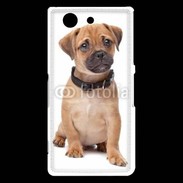 Coque Sony Xperia Z3 Compact Cavalier king charles 700