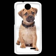 Coque HTC Desire 310 Cavalier king charles 700