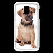 Coque Samsung Galaxy S5 Mini Cavalier king charles 700