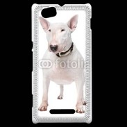 Coque Sony Xperia M Bull Terrier blanc 600