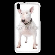 Coque HTC Desire 816 Bull Terrier blanc 600