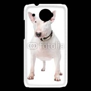 Coque HTC Desire 601 Bull Terrier blanc 600