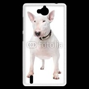 Coque Huawei Ascend G740 Bull Terrier blanc 600