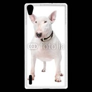 Coque Huawei Ascend P7 Bull Terrier blanc 600
