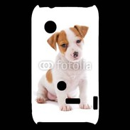 Coque Sony Xperia Typo Jack russel terrier puppy 800