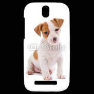 Coque HTC One SV Jack russel terrier puppy 800