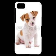 Coque Blackberry Z10 Jack russel terrier puppy 800