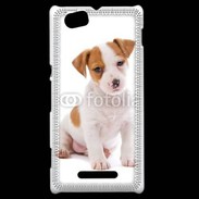 Coque Sony Xperia M Jack russel terrier puppy 800