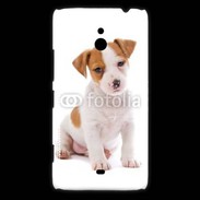 Coque Nokia Lumia 1320 Jack russel terrier puppy 800